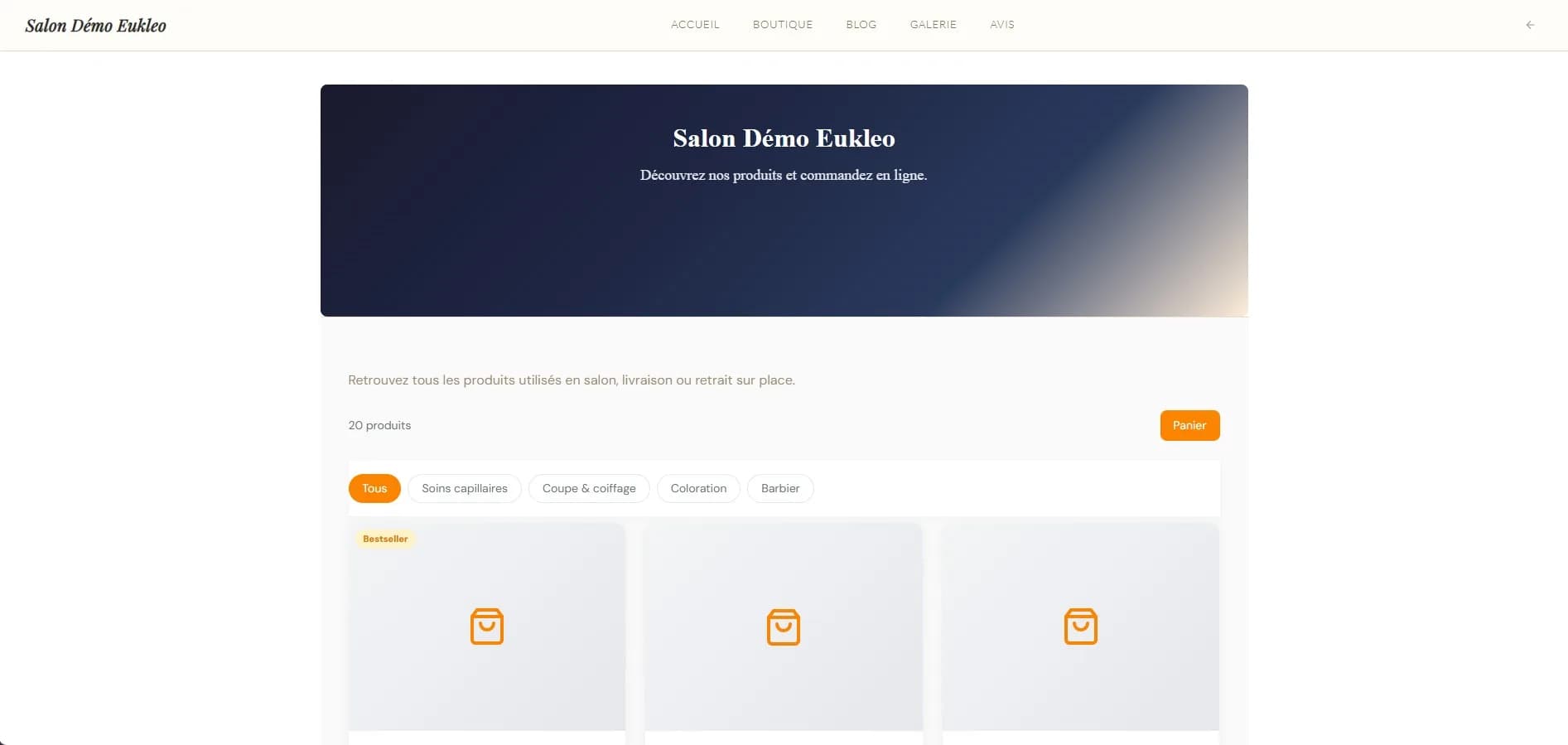 Aperçu Boutique en ligne dans Eukleo